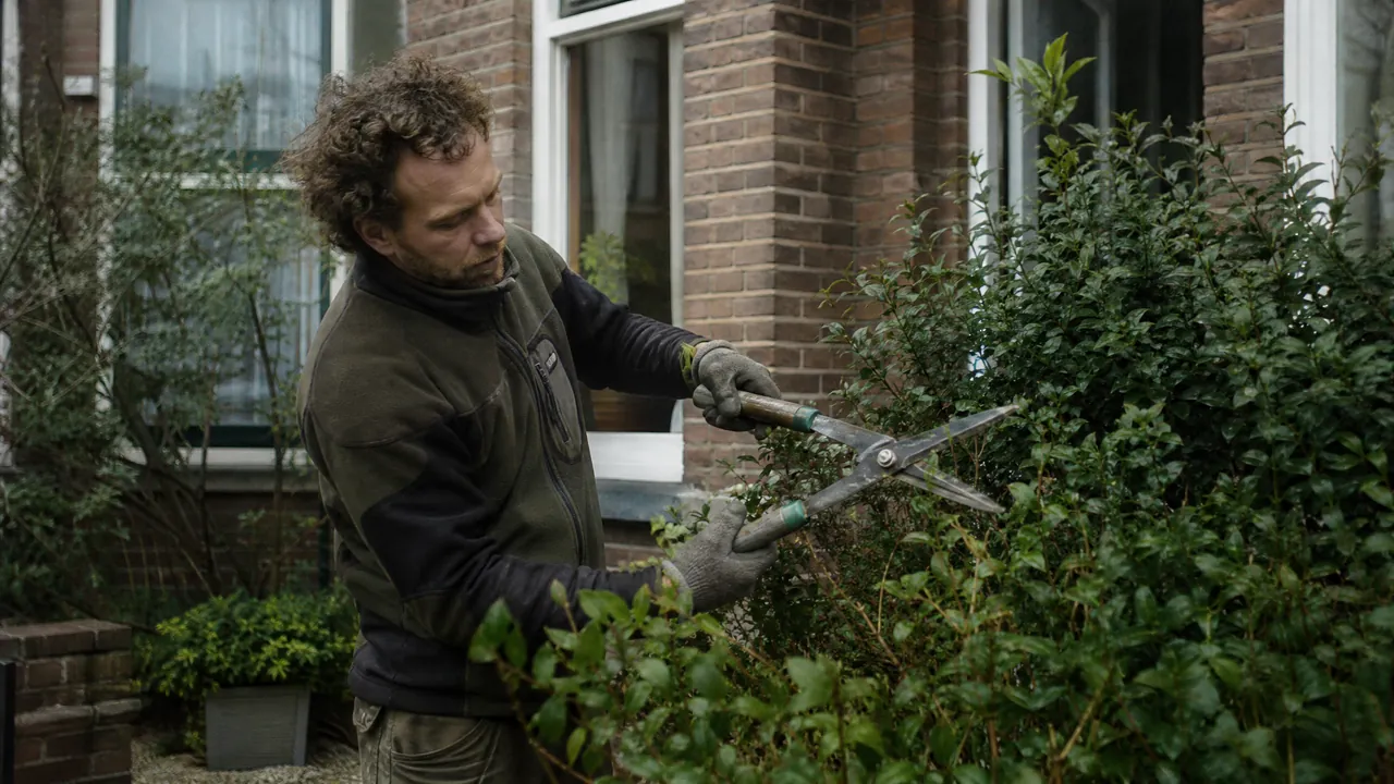 Snoeiwerk in een voortuin